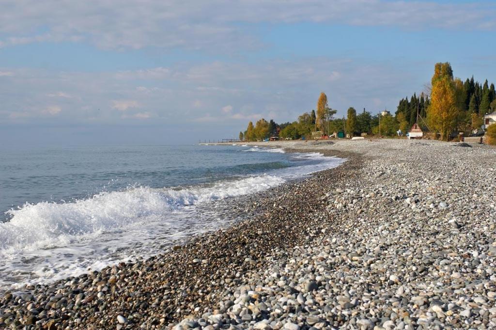 Бархат Цандрипш Екстериор снимка